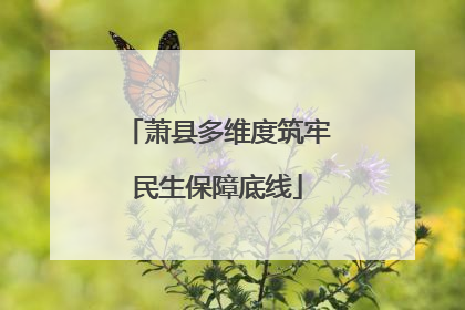 萧县多维度筑牢民生保障底线