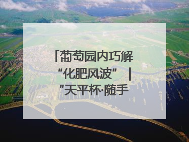 葡萄园内巧解“化肥风波”｜“天平杯·随手拍”作品展播