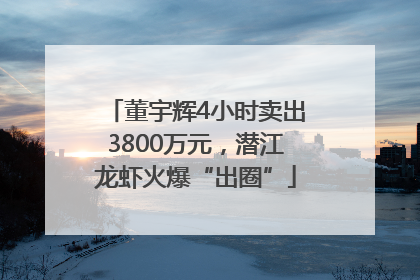 董宇辉4小时卖出3800万元，潜江龙虾火爆“出圈”
