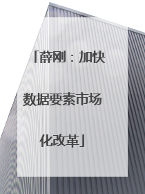 薛刚：加快数据要素市场化改革