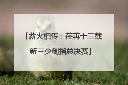 薪火相传：荏苒十三载 新三少剑指总决赛