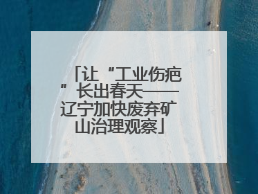 让“工业伤疤”长出春天——辽宁加快废弃矿山治理观察