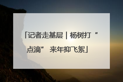 记者走基层｜杨树打“点滴” 来年抑飞絮