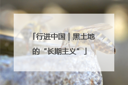 行进中国｜黑土地的“长期主义”