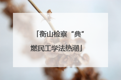 衡山检察“典”燃民工学法热潮