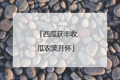 西瓜获丰收 瓜农笑开怀