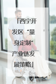 西宁开发区“量身定制”产业链发展策略