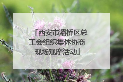 西安市灞桥区总工会组织集体协商现场观摩活动
