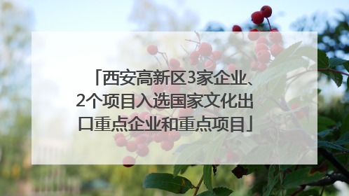 西安高新区3家企业、2个项目入选国家文化出口重点企业和重点项目