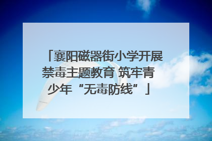 襄阳磁器街小学开展禁毒主题教育 筑牢青少年“无毒防线”
