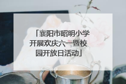 襄阳市昭明小学开展欢庆六一暨校园开放日活动