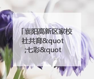 襄阳高新区家校社共育"七彩"童心 专家团支招智慧育儿