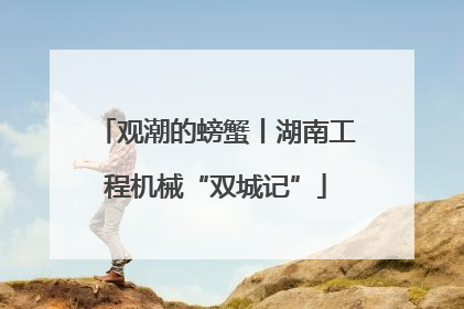 观潮的螃蟹丨湖南工程机械“双城记”