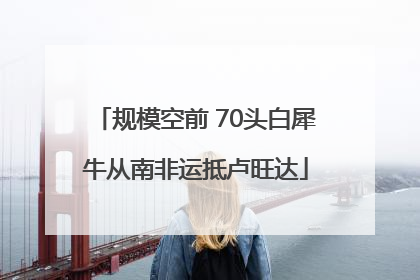 规模空前 70头白犀牛从南非运抵卢旺达