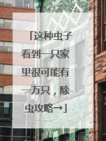 这种虫子看到一只家里很可能有一万只，除虫攻略→