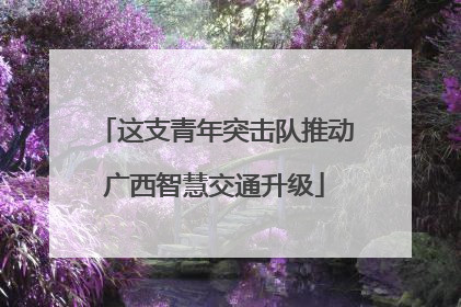 这支青年突击队推动广西智慧交通升级