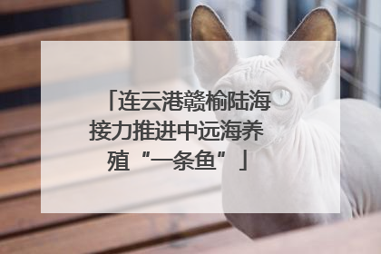 连云港赣榆陆海接力推进中远海养殖“一条鱼”