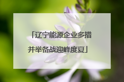 辽宁能源企业多措并举备战迎峰度夏