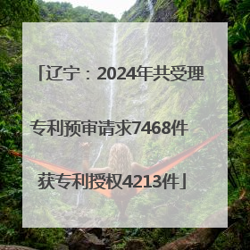 辽宁：2024年共受理专利预审请求7468件 获专利授权4213件