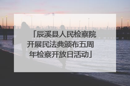 辰溪县人民检察院开展民法典颁布五周年检察开放日活动