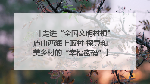 走进“全国文明村镇”庐山西海上畈村 探寻和美乡村的“幸福密码”