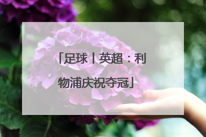 足球丨英超：利物浦庆祝夺冠