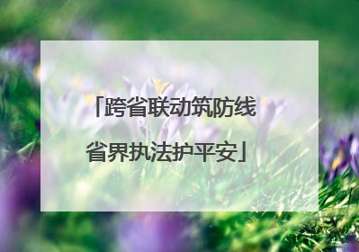 跨省联动筑防线 省界执法护平安