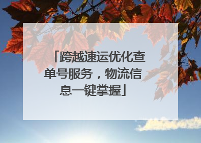 跨越速运优化查单号服务，物流信息一键掌握