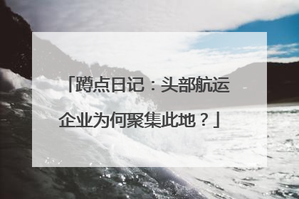 蹲点日记：头部航运企业为何聚集此地？