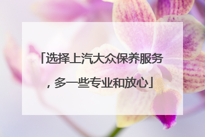 选择上汽大众保养服务，多一些专业和放心