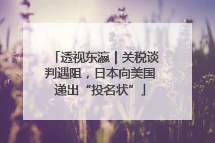 透视东瀛｜关税谈判遇阻，日本向美国递出“投名状”