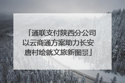 通联支付陕西分公司以云商通方案助力长安唐村绘就文旅新图景
