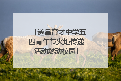 遂昌育才中学五四青年节火炬传递活动燃动校园