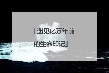 遇见亿万年前的生命印记