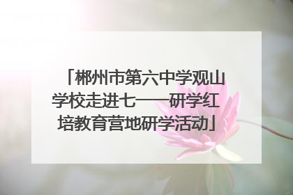 郴州市第六中学观山学校走进七一一研学红培教育营地研学活动