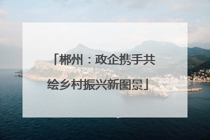 郴州：政企携手共绘乡村振兴新图景