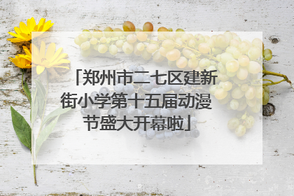 郑州市二七区建新街小学第十五届动漫节盛大开幕啦