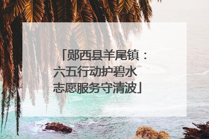 郧西县羊尾镇：六五行动护碧水 志愿服务守清波