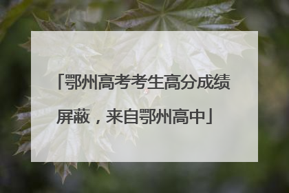 鄂州高考考生高分成绩屏蔽，来自鄂州高中