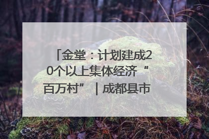 金堂：计划建成20个以上集体经济“百万村”｜成都县市新城高质量发展