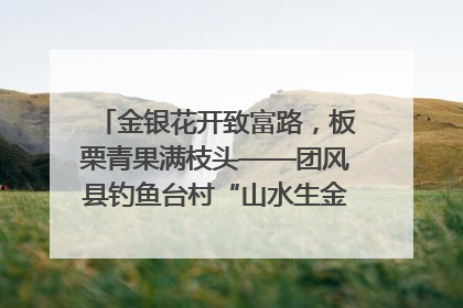 金银花开致富路，板栗青果满枝头——团风县钓鱼台村“山水生金”谱写共富新篇章