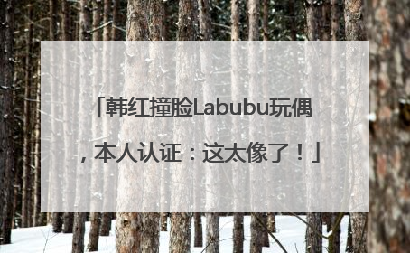 韩红撞脸Labubu玩偶，本人认证：这太像了！