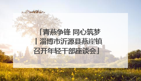 青燕争锋 同心筑梦丨淄博市沂源县燕崖镇召开年轻干部座谈会