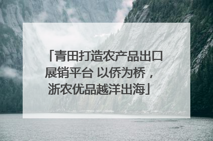 青田打造农产品出口展销平台 以侨为桥，浙农优品越洋出海