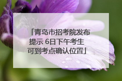 青岛市招考院发布提示 6日下午考生可到考点确认位置