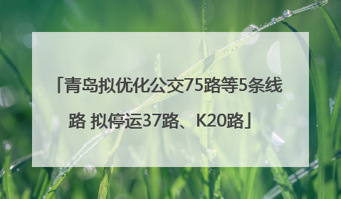 青岛拟优化公交75路等5条线路 拟停运37路、K20路