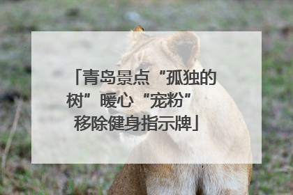 青岛景点“孤独的树”暖心“宠粉” 移除健身指示牌
