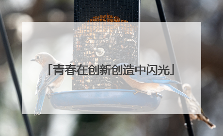 青春在创新创造中闪光