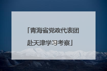 青海省党政代表团赴天津学习考察