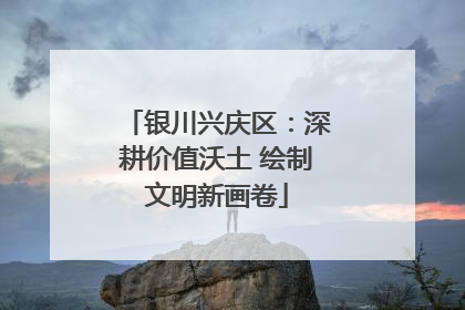 银川兴庆区：深耕价值沃土 绘制文明新画卷
